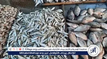 أسعار السمك في الأقصر تتغير الأحد 30-11-2025